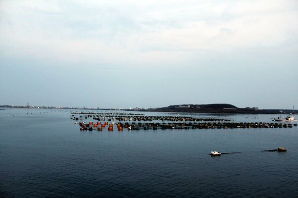 老五招待所 (12).JPG