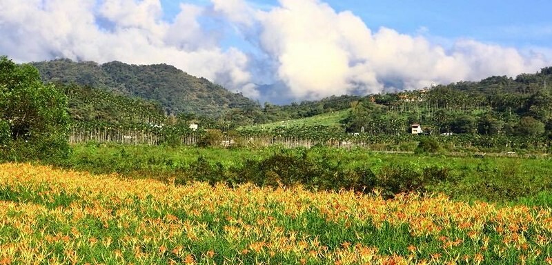 南投縣魚池鄉【南投日月潭住宿】水沙蓮鮮乳x散步的雲生態民宿.日月潭優質牛乳免費喝得爽