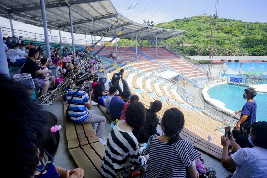 新北旅遊住宿|北海岸親子飯店推薦!薆悅酒店野柳渡假館 400坪親子遊戲室、海鮮自助餐吃到飽 順遊野柳女王頭、野柳海洋公園 - 奇奇一起玩樂趣