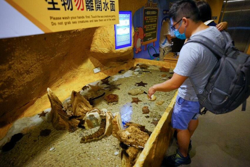 新北旅遊住宿|北海岸親子飯店推薦!薆悅酒店野柳渡假館 400坪親子遊戲室、海鮮自助餐吃到飽 順遊野柳女王頭、野柳海洋公園 - 奇奇一起玩樂趣