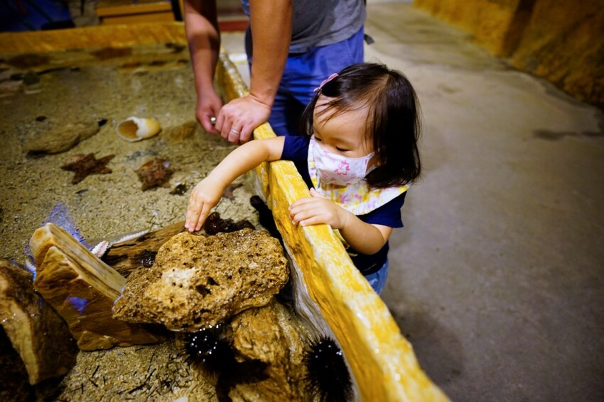 新北旅遊住宿|北海岸親子飯店推薦!薆悅酒店野柳渡假館 400坪親子遊戲室、海鮮自助餐吃到飽 順遊野柳女王頭、野柳海洋公園 - 奇奇一起玩樂趣