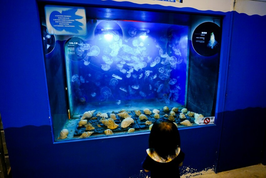 新北旅遊住宿|北海岸親子飯店推薦!薆悅酒店野柳渡假館 400坪親子遊戲室、海鮮自助餐吃到飽 順遊野柳女王頭、野柳海洋公園 - 奇奇一起玩樂趣