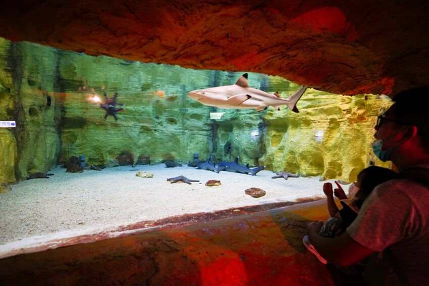 新北旅遊住宿|北海岸親子飯店推薦!薆悅酒店野柳渡假館 400坪親子遊戲室、海鮮自助餐吃到飽 順遊野柳女王頭、野柳海洋公園 - 奇奇一起玩樂趣