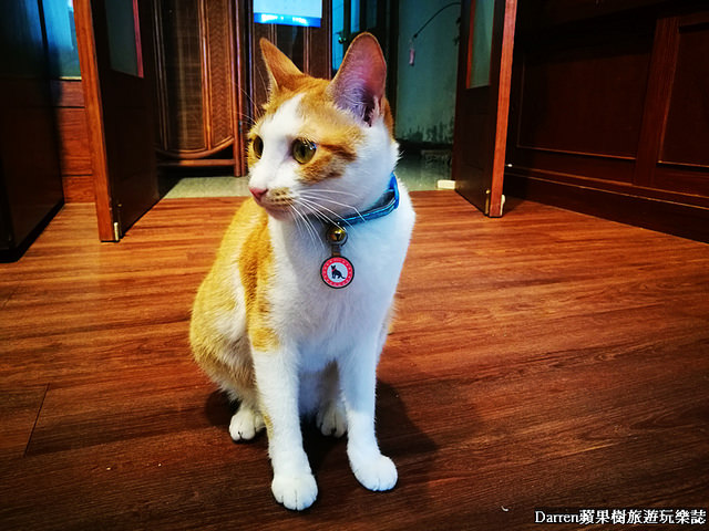 『桃園中壢下午茶』養親轅咖啡Jodie Ho Cafe★百年藥櫃藥桌中藥房轉型成有溫度的咖啡館/鄰近健行科技大學咖啡店