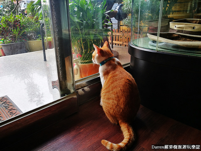 『桃園中壢下午茶』養親轅咖啡Jodie Ho Cafe★百年藥櫃藥桌中藥房轉型成有溫度的咖啡館/鄰近健行科技大學咖啡店