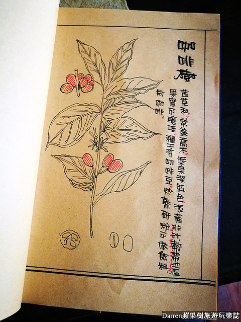 『桃園中壢下午茶』養親轅咖啡Jodie Ho Cafe★百年藥櫃藥桌中藥房轉型成有溫度的咖啡館/鄰近健行科技大學咖啡店