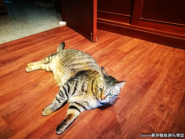 『桃園中壢下午茶』養親轅咖啡Jodie Ho Cafe★百年藥櫃藥桌中藥房轉型成有溫度的咖啡館/鄰近健行科技大學咖啡店