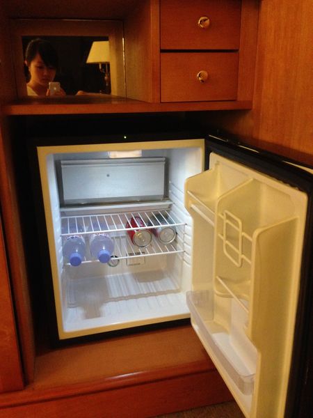 高雄親子住宿 寒軒國際大飯店 高樓全景無敵美景 浪漫夜景@醒醒吧女孩們