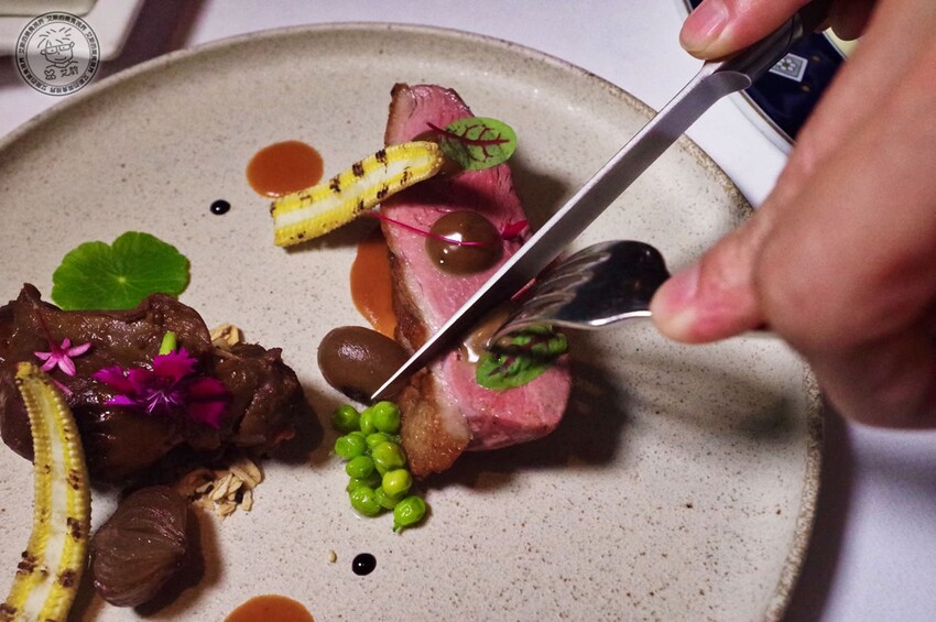 5脆皮櫻桃鴨胸3 5脆皮櫻桃鴨胸3