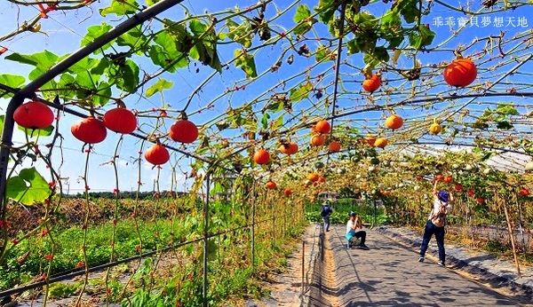 淡水 南瓜隧道-10.JPG