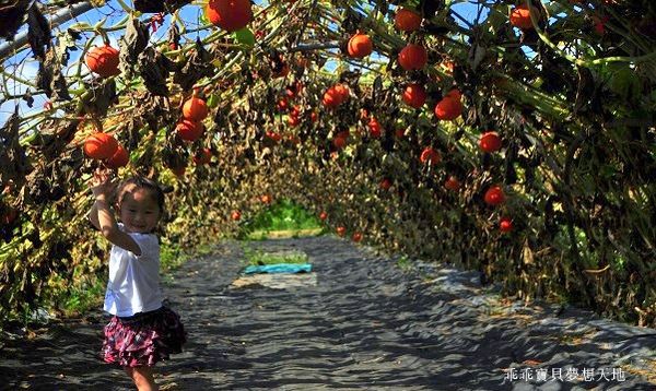 淡水 南瓜隧道-16.JPG
