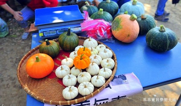 淡水 南瓜隧道-19.JPG