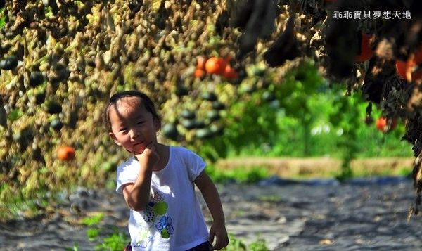 淡水 南瓜隧道-18.JPG