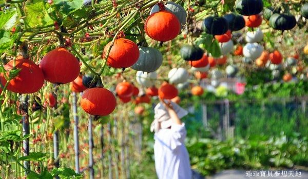 淡水 南瓜隧道-12.JPG