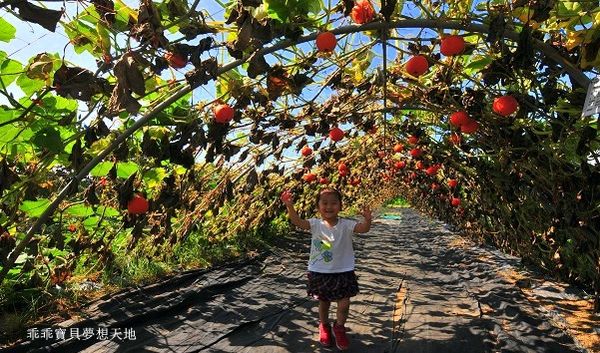 淡水 南瓜隧道-17.JPG
