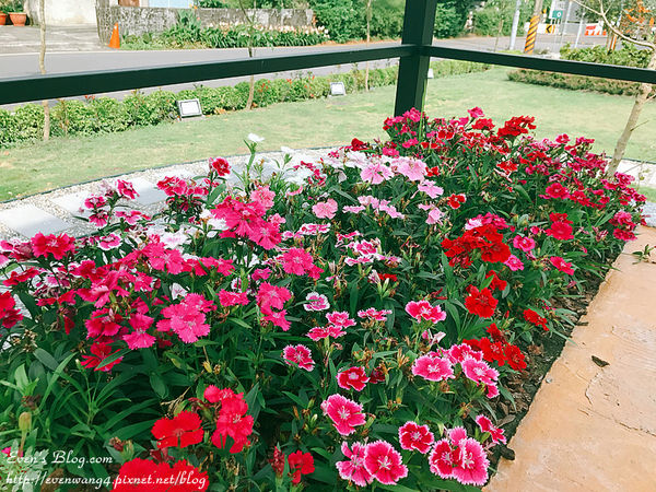 IMG_1732_副本.jpg IMG_1732_副本.jpg