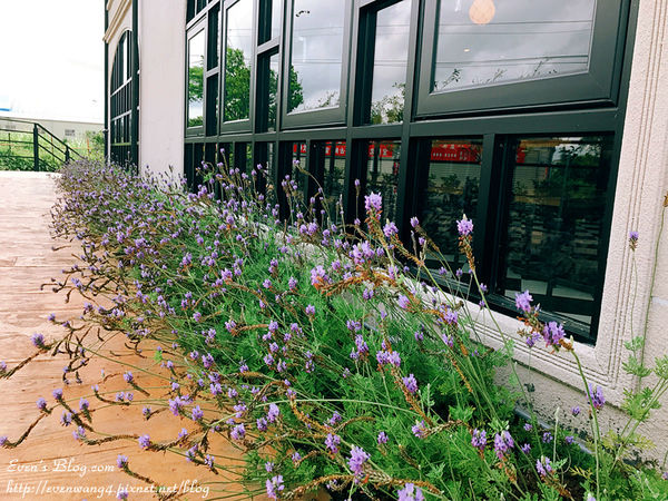 IMG_1731_副本.jpg IMG_1731_副本.jpg