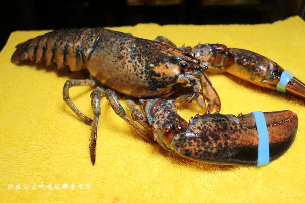 極幻燒肉弁当:板橋丼飯/滿出來的活龍蝦丼飯『極幻 燒肉弁当』平價美食/炙燒雞腿排/外送便當/茶水/味噌湯無限供應