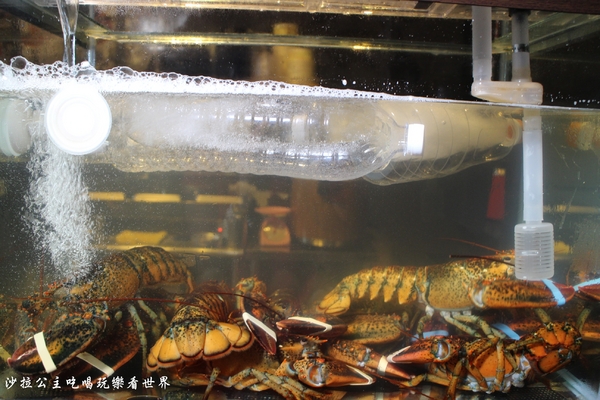 極幻燒肉弁当:板橋丼飯/滿出來的活龍蝦丼飯『極幻 燒肉弁当』平價美食/炙燒雞腿排/外送便當/茶水/味噌湯無限供應