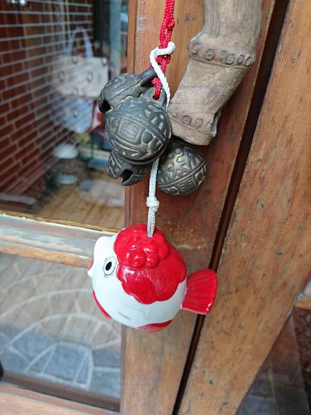 18622142_1515148405183510_3969141163136568252_n 18622142_1515148405183510_3969141163136568252_n