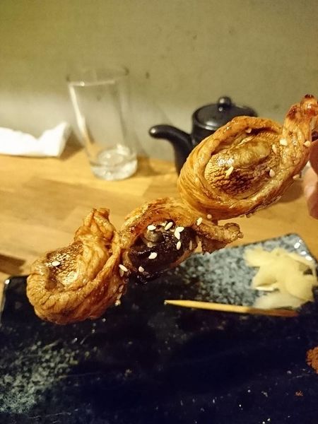 18620117_1513617765336574_7964686697862214393_n