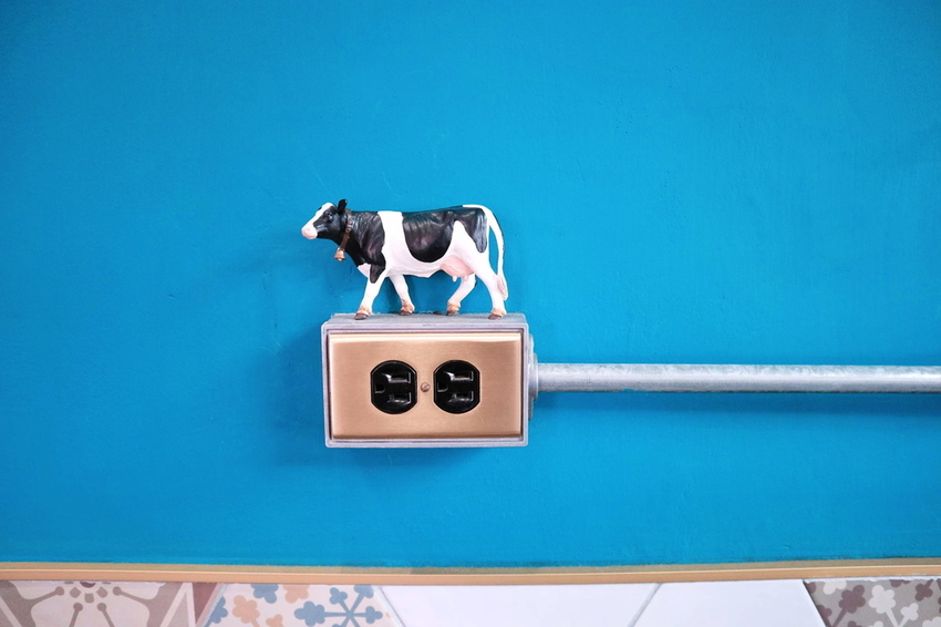 1970-01-01 08.00.00 212.jpg