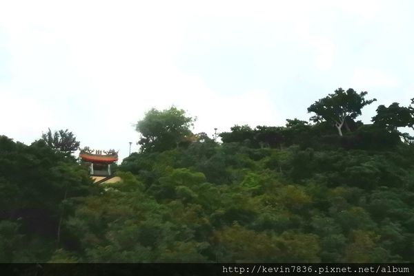 20170524_110331.jpg 20170524_110331.jpg