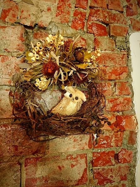 18664226_1513137772051240_4477842600335161538_n 18664226_1513137772051240_4477842600335161538_n