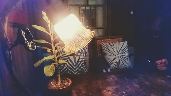 50554479_2237079219657088_5273324789778350080_n