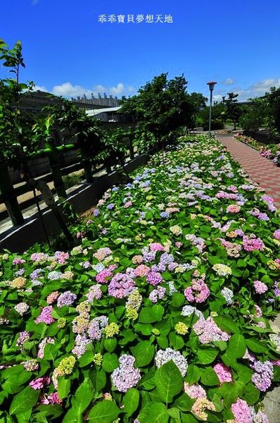 黎明步道花園-19.JPG
