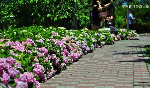 黎明步道花園-1.JPG