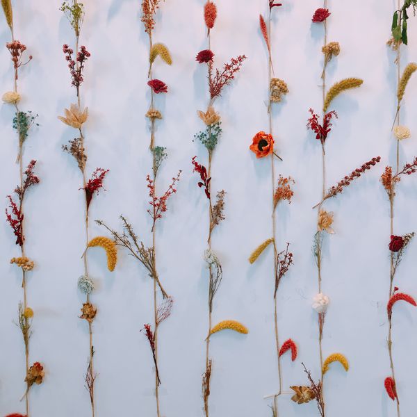 IMG_8043.JPG IMG_8043.JPG