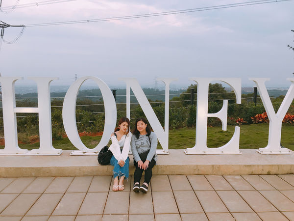 IMG_8815.JPG IMG_8815.JPG