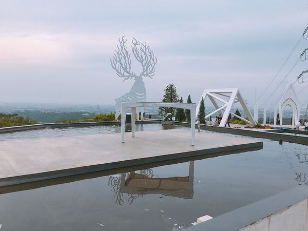 IMG_8590.JPG IMG_8590.JPG