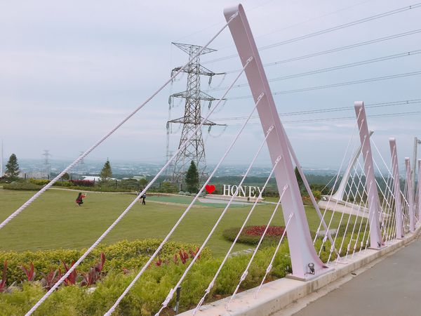 IMG_8573.JPG IMG_8573.JPG