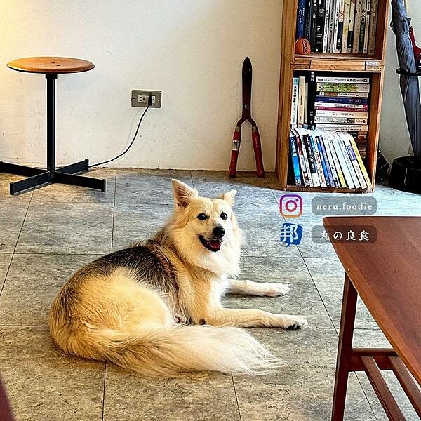 台北市中正區漸漸咖啡店|中正閒適下午茶推薦 @neru.foodie / 丸の良食