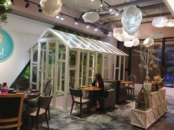 IMG_8203.JPG IMG_8203.JPG