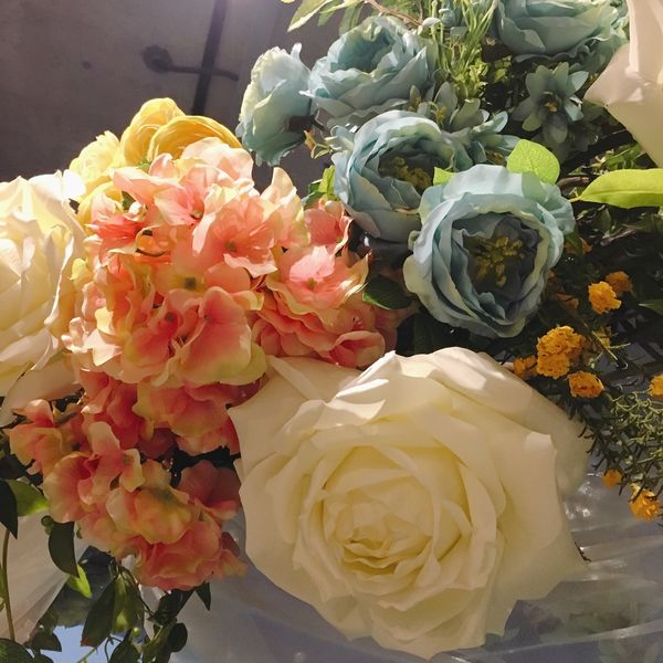 IMG_8215.JPG IMG_8215.JPG