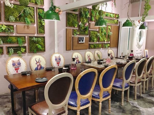 IMG_8206.JPG IMG_8206.JPG