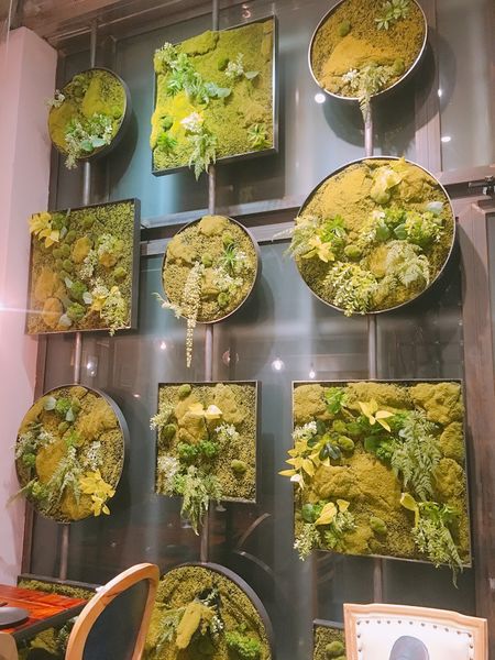 IMG_9087.JPG IMG_9087.JPG