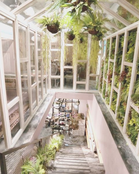 IMG_9318.JPG IMG_9318.JPG