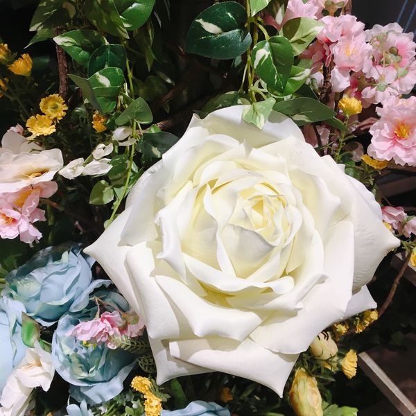 IMG_8211.JPG IMG_8211.JPG