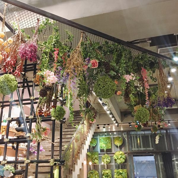 IMG_8196.JPG IMG_8196.JPG