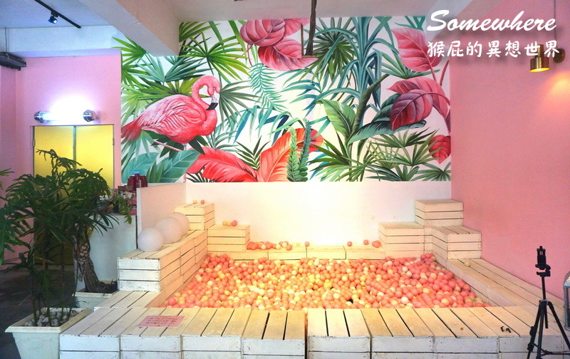 @猴屁的異想世界