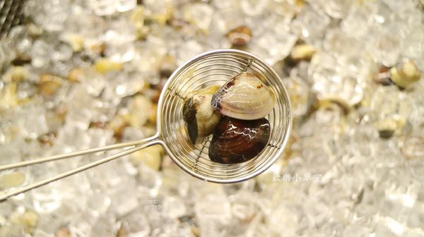 千葉火鍋(永和尊爵館):【新北火鍋】種類超多樣的千葉火鍋(永和尊爵館) 千葉火鍋(永和尊爵館):【新北火鍋】種類超多樣的千葉火鍋(永和尊爵館)