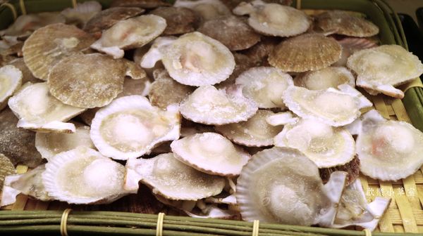 千葉火鍋(永和尊爵館):【新北火鍋】種類超多樣的千葉火鍋(永和尊爵館) 千葉火鍋(永和尊爵館):【新北火鍋】種類超多樣的千葉火鍋(永和尊爵館)