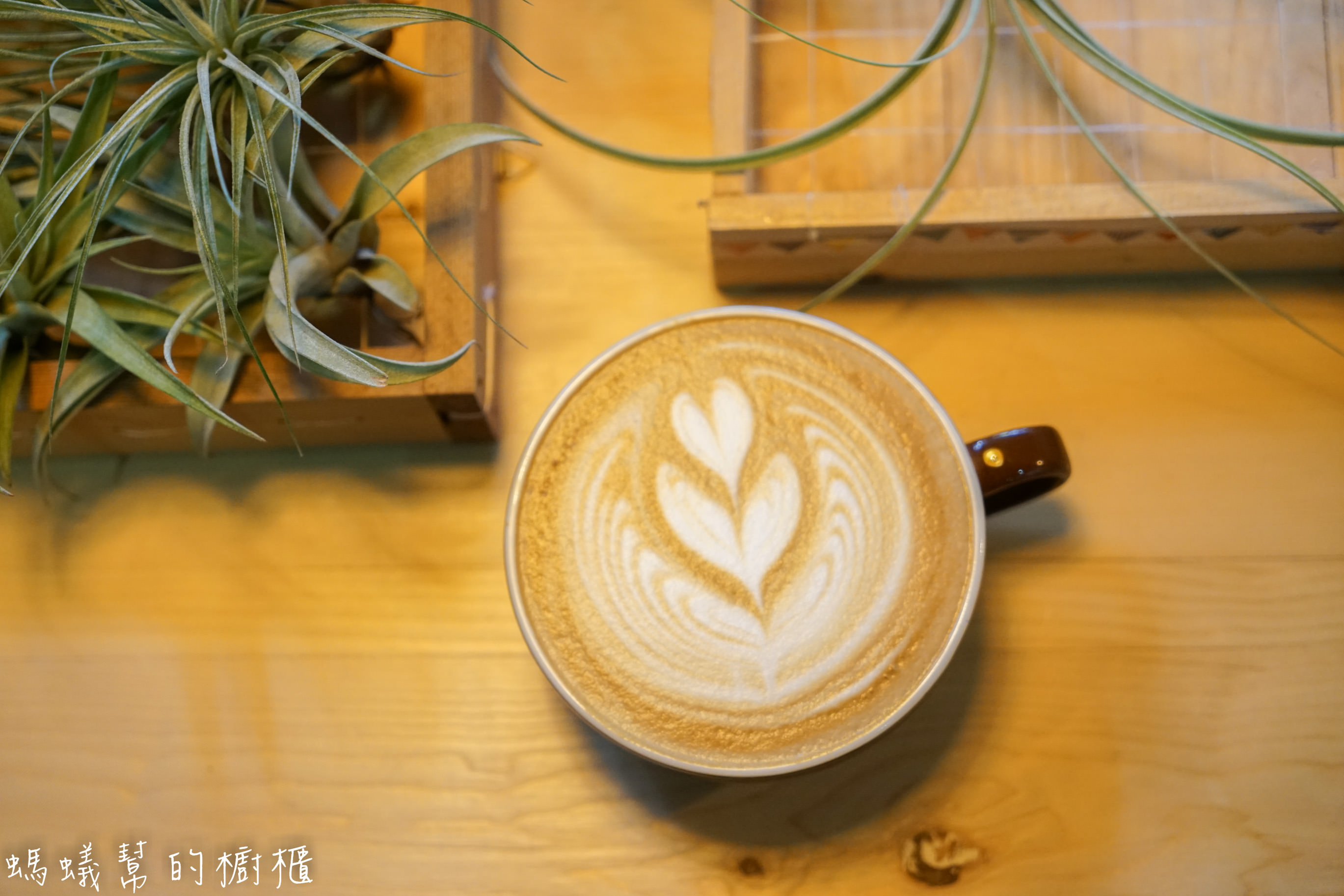 摩露啡molufi Cafe|員林隱藏版咖啡館，在植物園裡喝咖啡，特色烘焙點心，隱密又放鬆的秘密基地。 - 螞蟻幫的櫥櫃