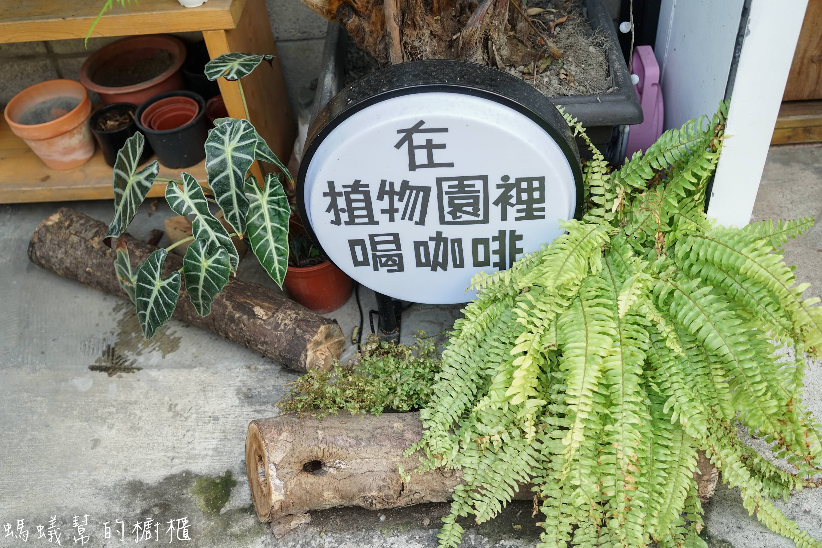 摩露啡molufi Cafe|員林隱藏版咖啡館，在植物園裡喝咖啡，特色烘焙點心，隱密又放鬆的秘密基地。 - 螞蟻幫的櫥櫃
