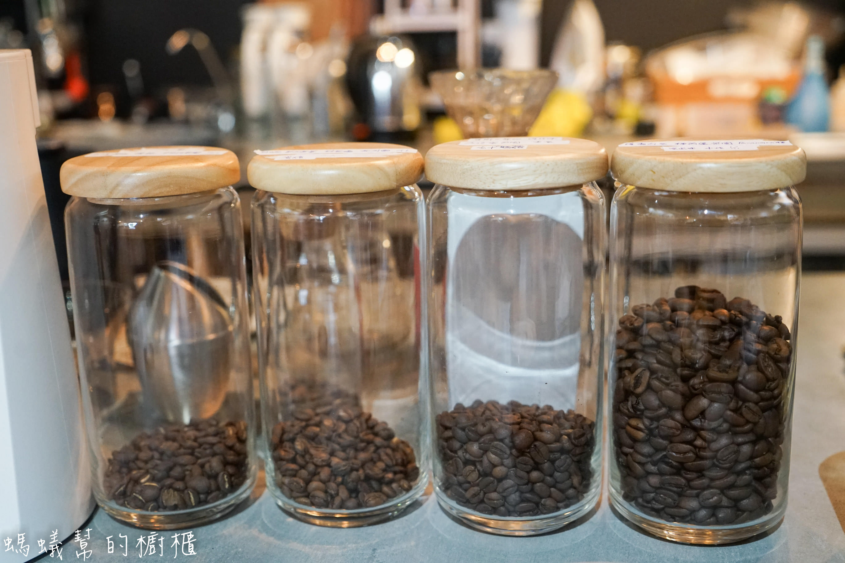 摩露啡molufi Cafe|員林隱藏版咖啡館，在植物園裡喝咖啡，特色烘焙點心，隱密又放鬆的秘密基地。 - 螞蟻幫的櫥櫃