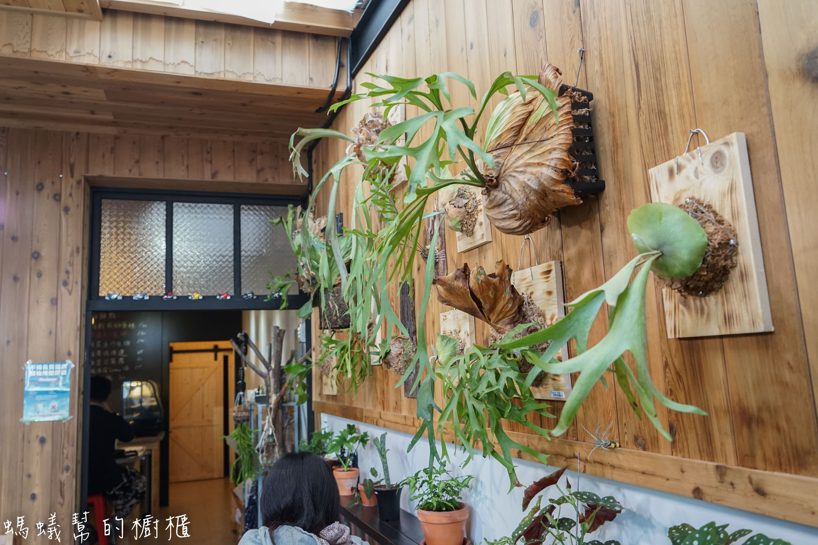 摩露啡molufi Cafe|員林隱藏版咖啡館，在植物園裡喝咖啡，特色烘焙點心，隱密又放鬆的秘密基地。 - 螞蟻幫的櫥櫃
